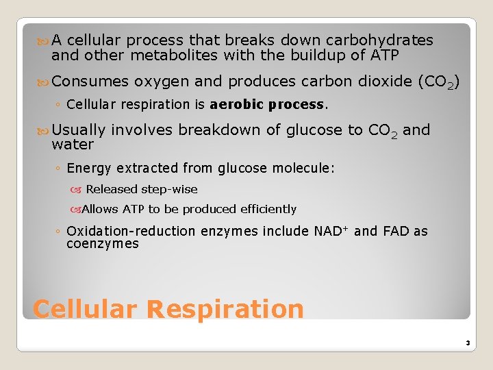  A cellular process that breaks down carbohydrates and other metabolites with the buildup