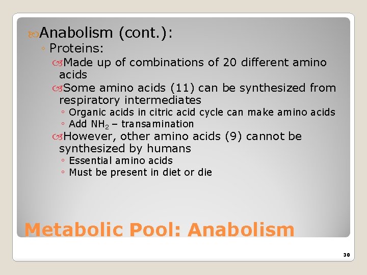  Anabolism (cont. ): ◦ Proteins: Made up of combinations of 20 different amino