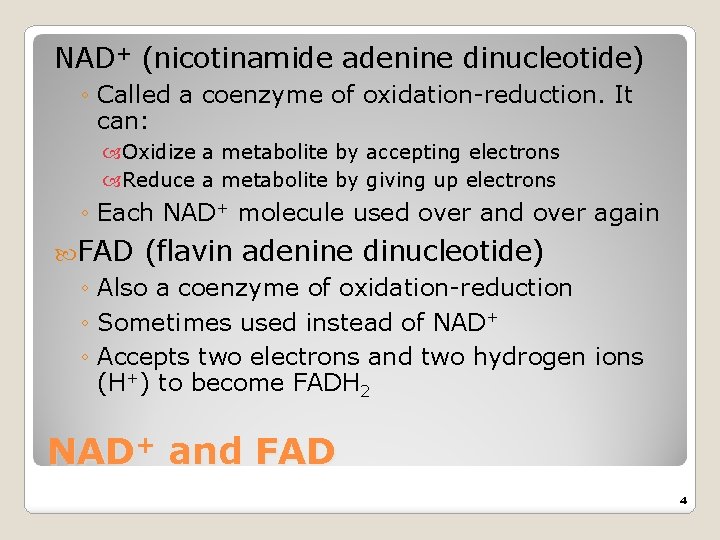 NAD+ (nicotinamide adenine dinucleotide) ◦ Called a coenzyme of oxidation-reduction. It can: Oxidize a
