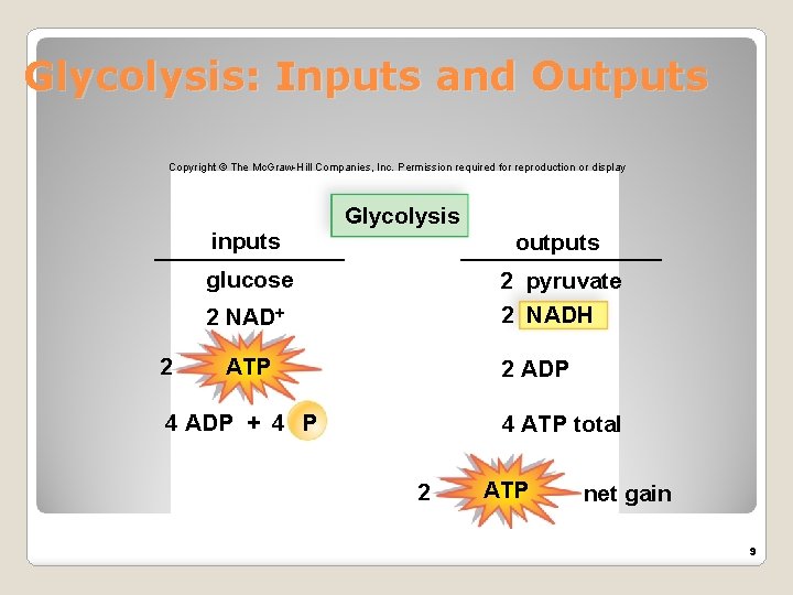 Glycolysis: Inputs and Outputs Copyright © The Mc. Graw-Hill Companies, Inc. Permission required for