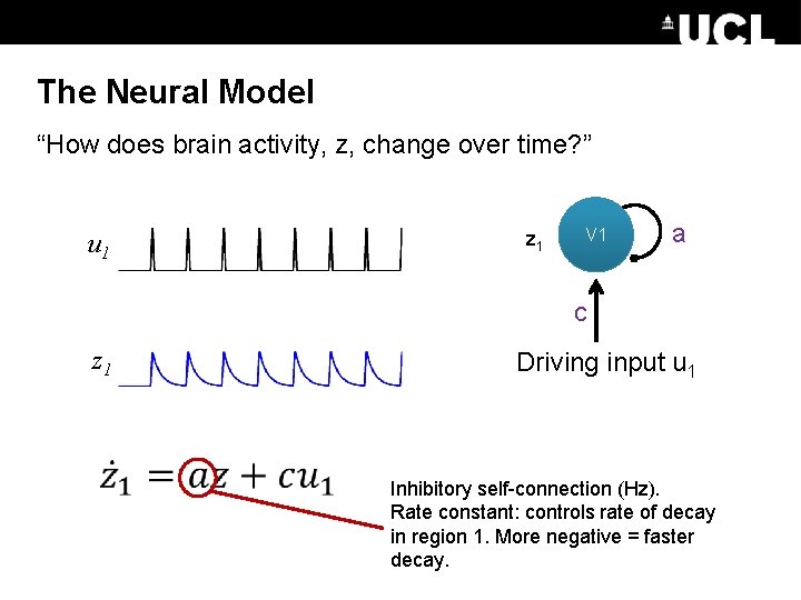 The Neural Model “How does brain activity, z, change over time? ” u 1
