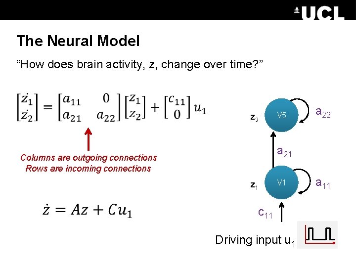 The Neural Model “How does brain activity, z, change over time? ” z 2