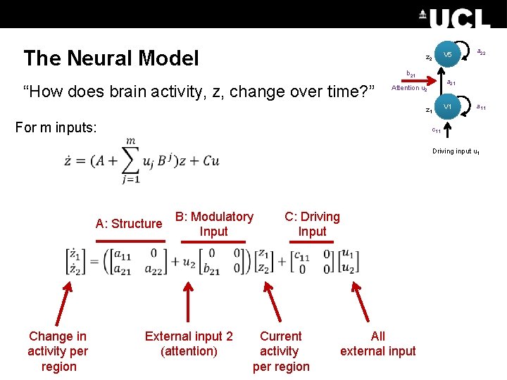 The Neural Model V 5 z 2 b 21 “How does brain activity, z,