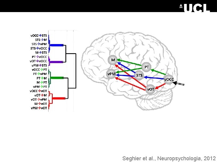 Seghier et al. , Neuropsychologia, 2012 