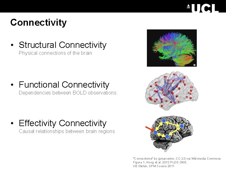 Connectivity • Structural Connectivity Physical connections of the brain • Functional Connectivity Dependencies between