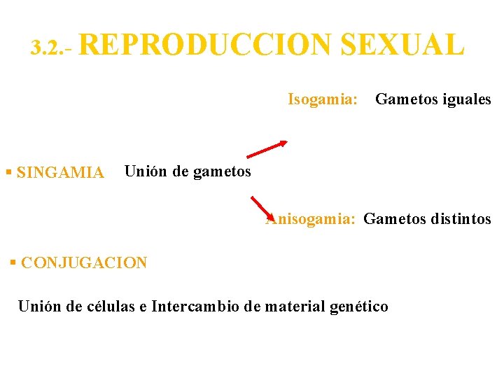 3. 2. - REPRODUCCION SEXUAL Isogamia: Gametos iguales § SINGAMIA Unión de gametos Anisogamia: