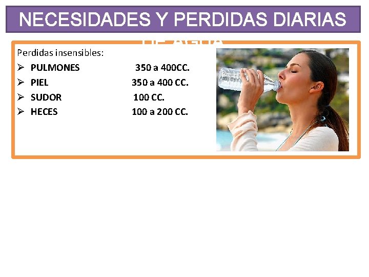 NECESIDADES Y PERDIDAS DIARIAS DE AGUA Perdidas insensibles: Ø Ø PULMONES 350 a 400