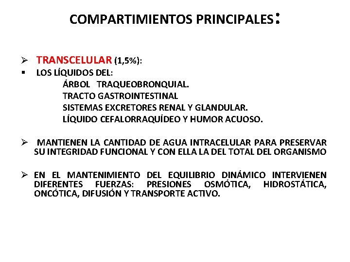 COMPARTIMIENTOS PRINCIPALES : Ø TRANSCELULAR (1, 5%): § LOS LÍQUIDOS DEL: ÁRBOL TRAQUEOBRONQUIAL. TRACTO