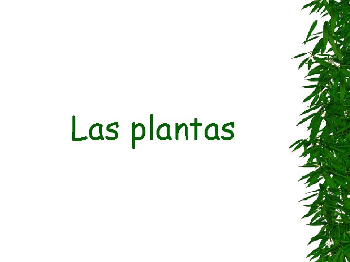 Las plantas 