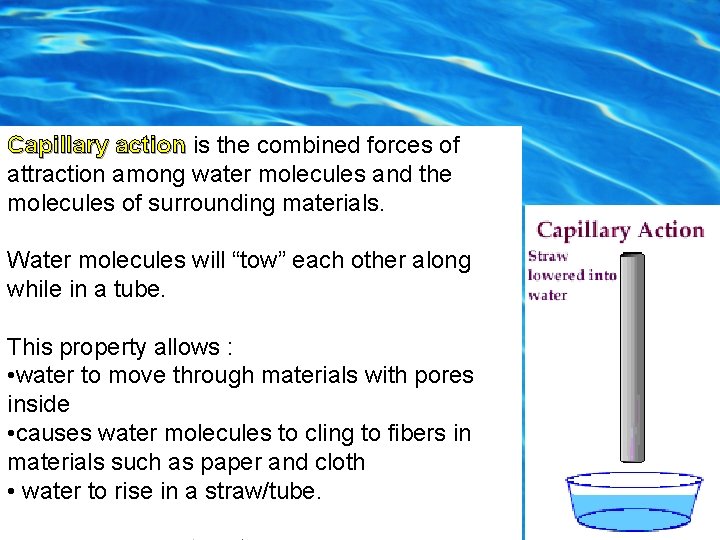 Capillary Action Capillary action is the combined forces of attraction among water molecules and