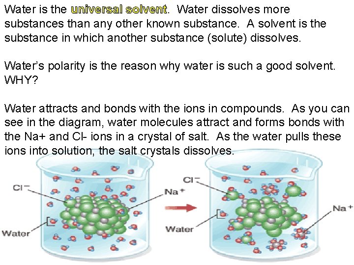 Water is the universal solvent Water dissolves more substances than any other known substance.