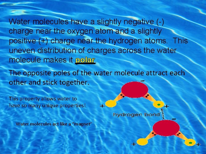 Polarity Water molecules have a slightly negative (-) charge near the oxygen atom and