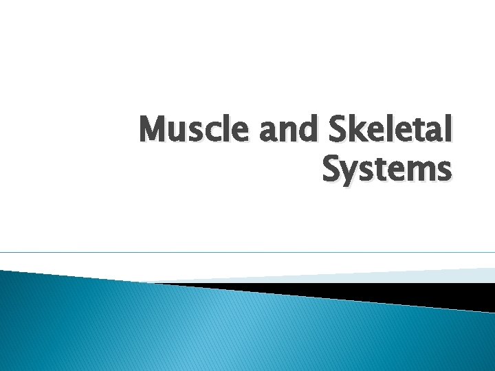 Muscle and Skeletal Systems 