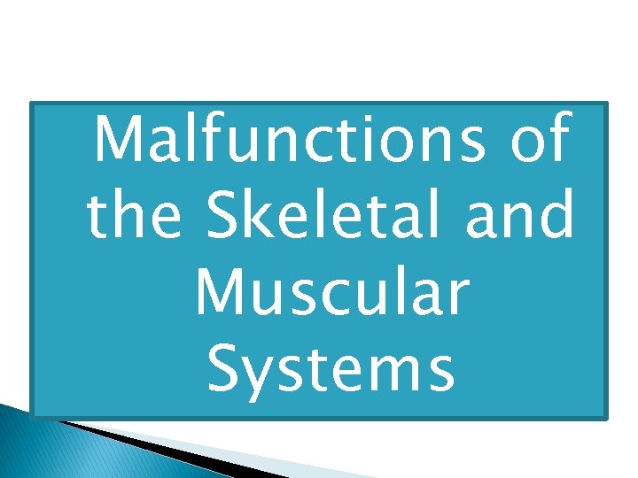 � Malfunctions of the Skeletal and Muscular Systems 