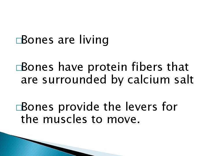 �Bones are living �Bones have protein fibers that are surrounded by calcium salt �Bones