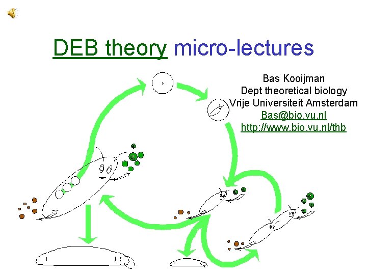 DEB theory micro-lectures Bas Kooijman Dept theoretical biology Vrije Universiteit Amsterdam Bas@bio. vu. nl