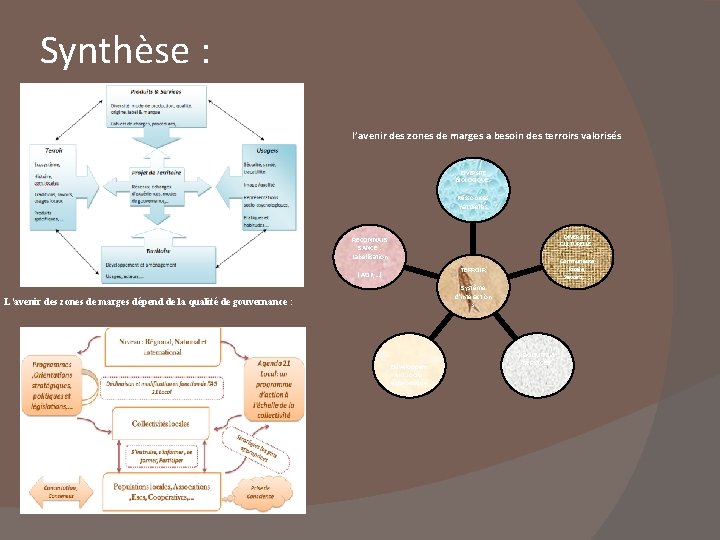 Synthèse : l’avenir des zones de marges a besoin des terroirs valorisés DIVERSITE BIOLOGIQUE