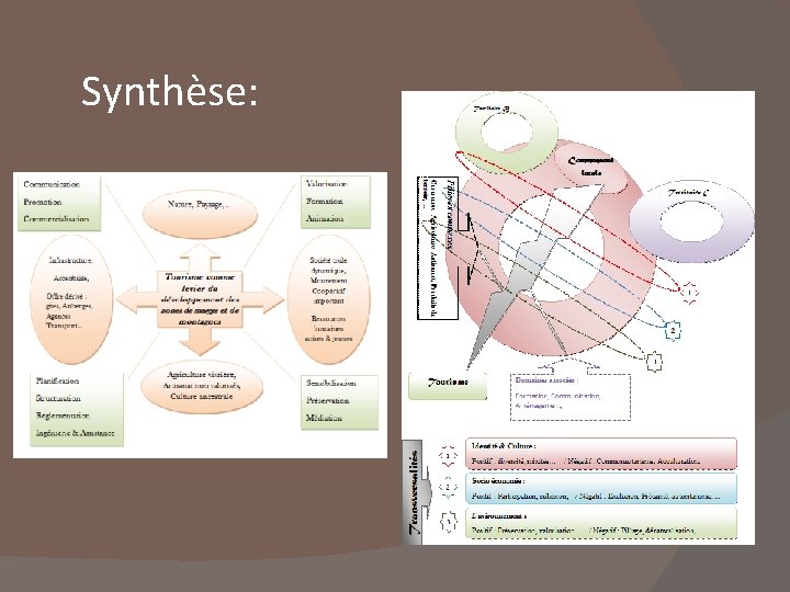 Synthèse: 