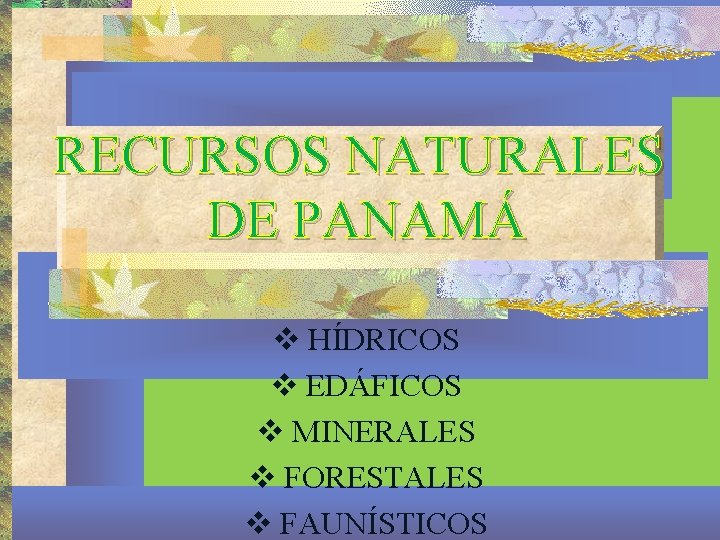 RECURSOS NATURALES DE PANAMÁ v HÍDRICOS v EDÁFICOS v MINERALES v FORESTALES v FAUNÍSTICOS