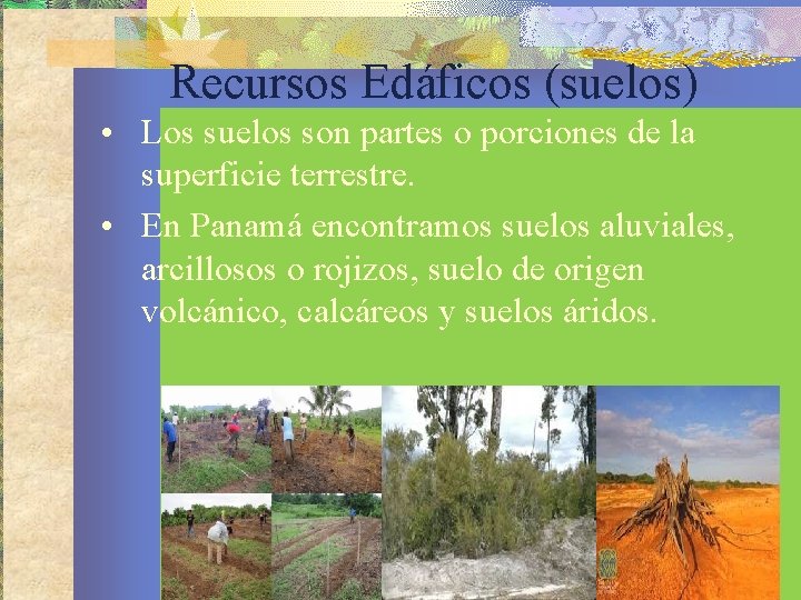 Recursos Edáficos (suelos) • Los suelos son partes o porciones de la superficie terrestre.