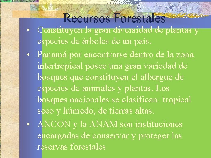 Recursos Forestales • Constituyen la gran diversidad de plantas y especies de árboles de
