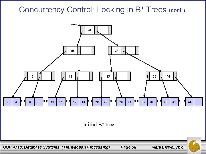 Concurrency Control: Locking in B+ Trees (cont. ) 20 10 6 3 4 6