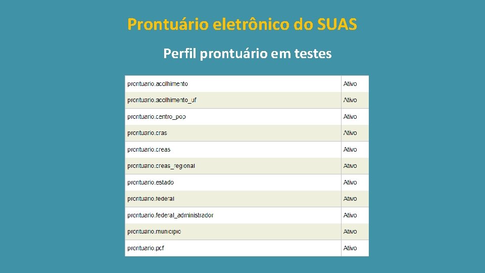 Prontuário eletrônico do SUAS Perfil prontuário em testes 