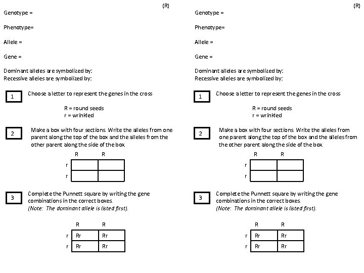 (R) Genotype = Phenotype= Allele = Gene = Dominant alleles are symbolized by: Recessive