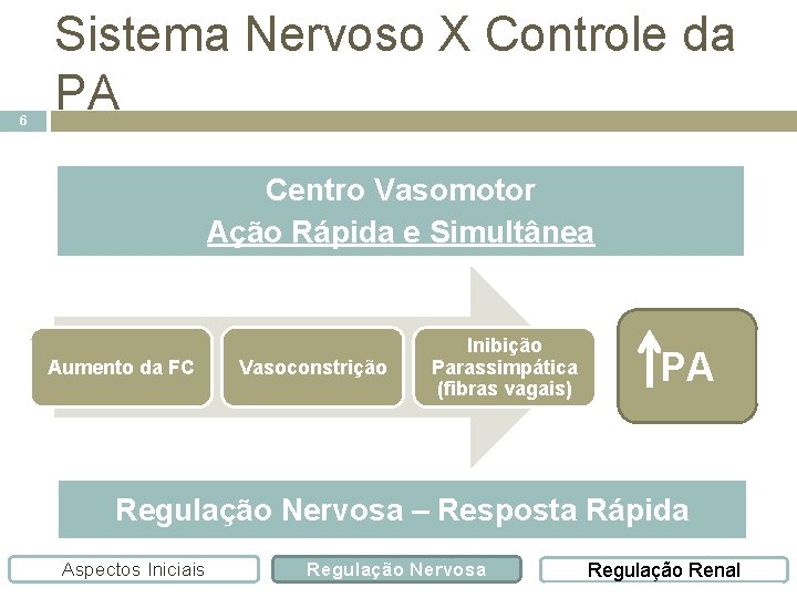 6 Sistema Nervoso X Controle da PA Centro Vasomotor Ação Rápida e Simultânea Aumento