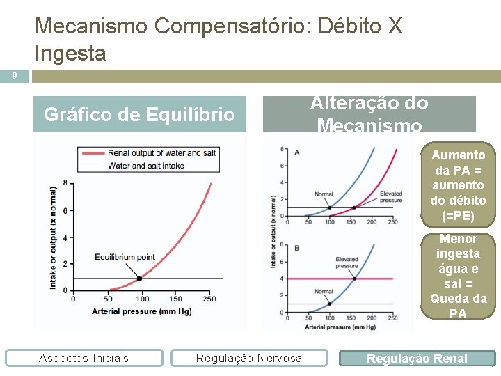 Mecanismo Compensatório: Débito X Ingesta 9 Gráfico de Equilíbrio Alteração do Mecanismo Aumento da
