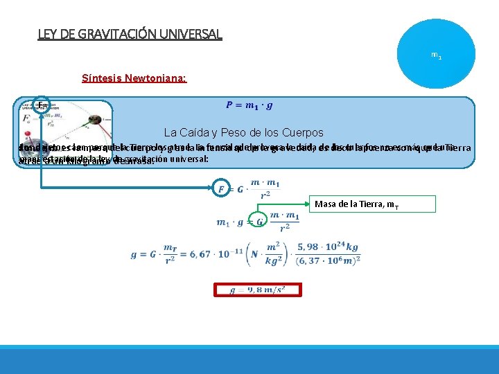 LEY DE GRAVITACIÓN UNIVERSAL m 1 Síntesis Newtoniana: F= La Caída y Peso de