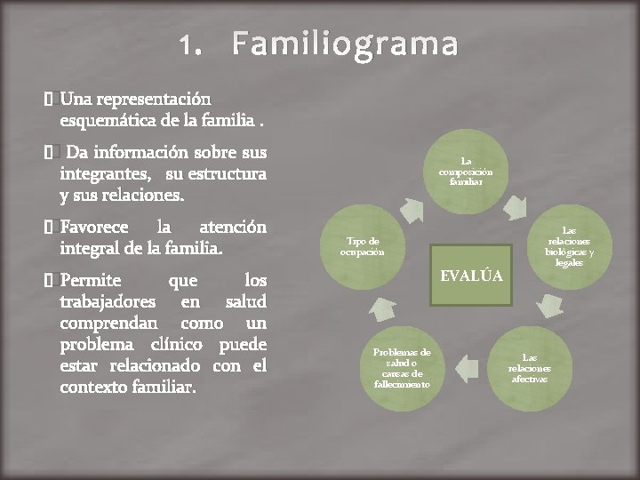 1. Familiograma �Una representación esquemática de la familia. � Da información sobre sus integrantes,