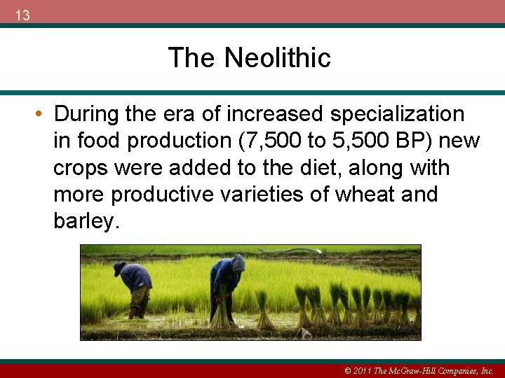13 The Neolithic • During the era of increased specialization in food production (7,