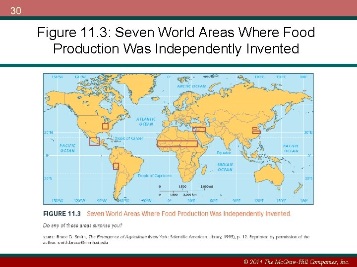 30 Figure 11. 3: Seven World Areas Where Food Production Was Independently Invented ©
