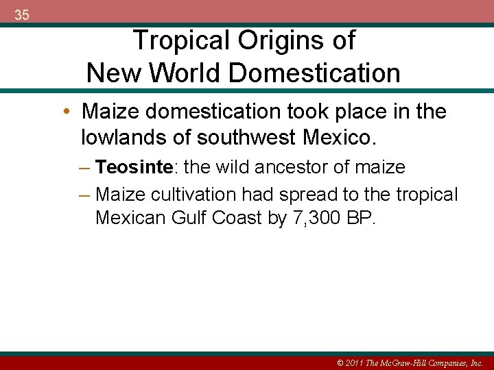35 Tropical Origins of New World Domestication • Maize domestication took place in the