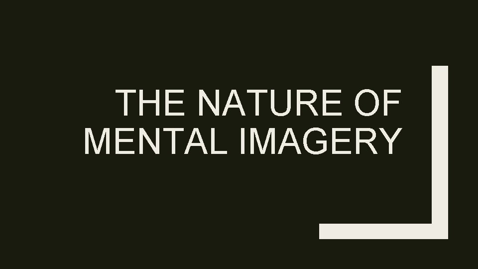 THE NATURE OF MENTAL IMAGERY 