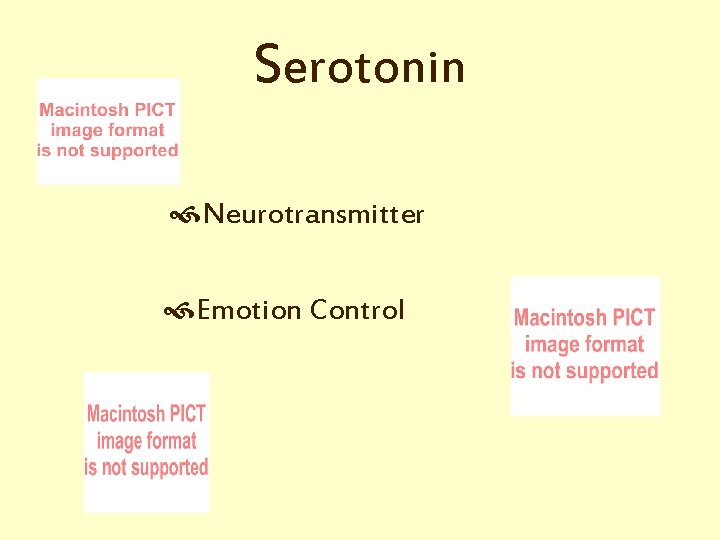 Serotonin Neurotransmitter Emotion Control 