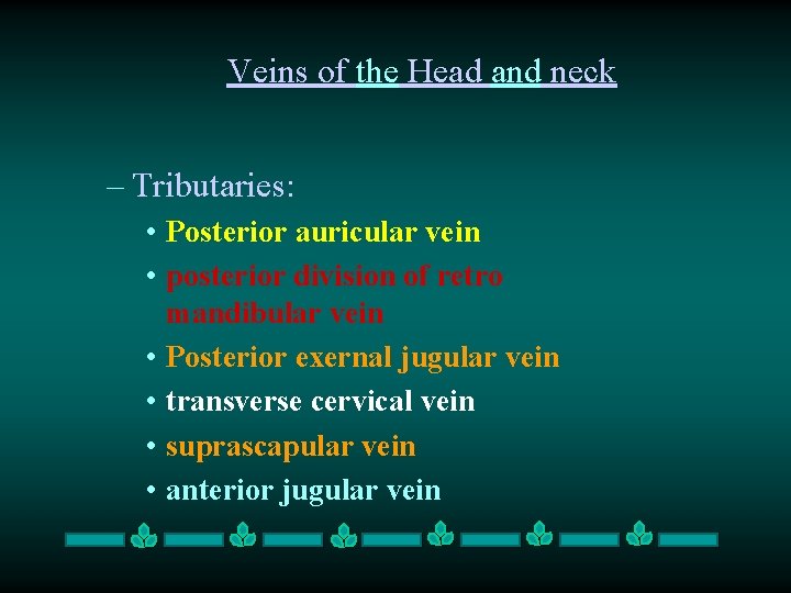 Veins of the Head and neck – Tributaries: • Posterior auricular vein • posterior