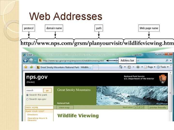 Web Addresses 