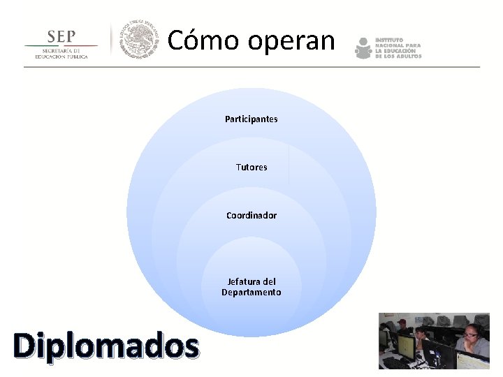 Cómo operan Participantes Tutores Coordinador Jefatura del Departamento Diplomados Cómo operan Participantes Tutores Coordinador Jefatura del Departamento Diplomados