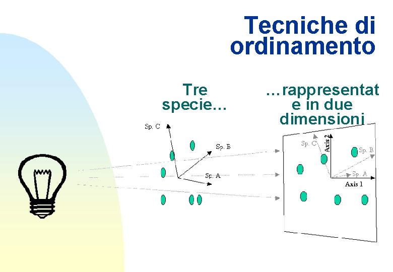 Tecniche di ordinamento Tre specie… …rappresentat e in due dimensioni 
