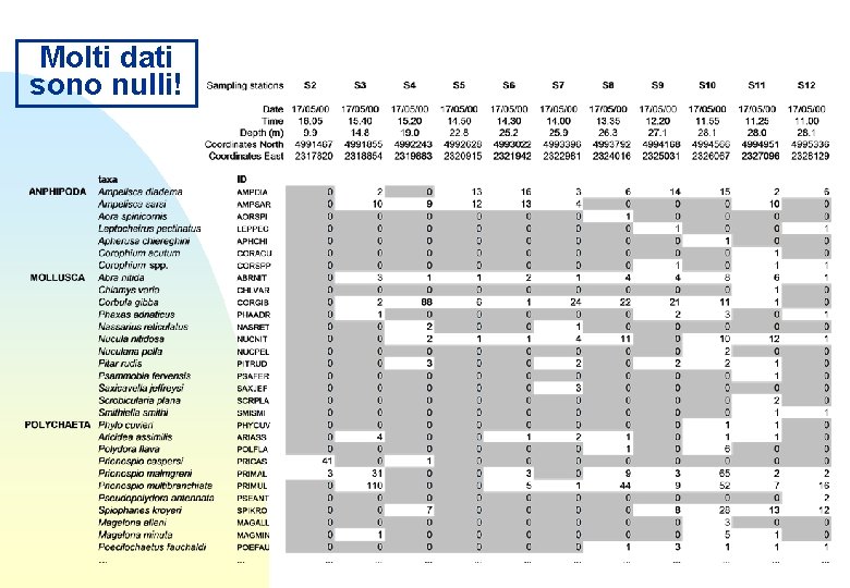 Molti dati sono nulli! 