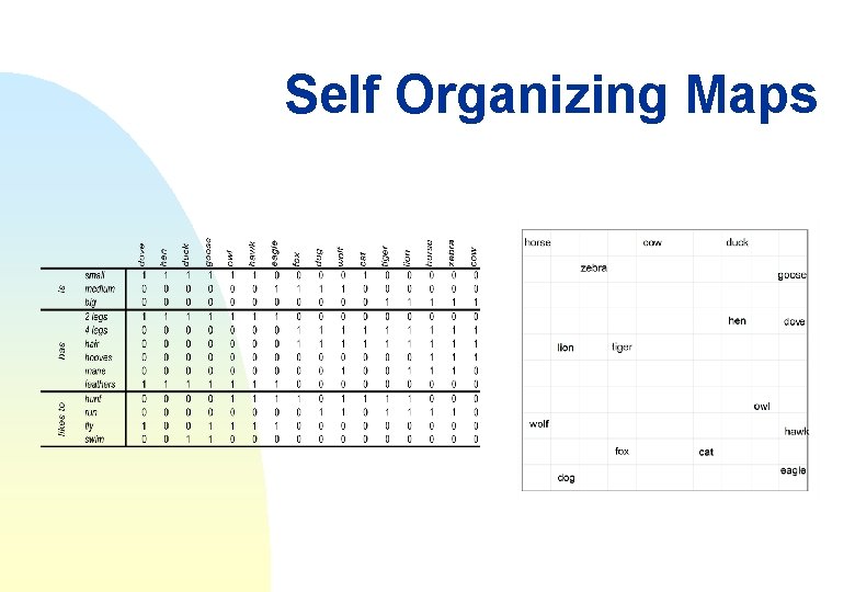 Self Organizing Maps 