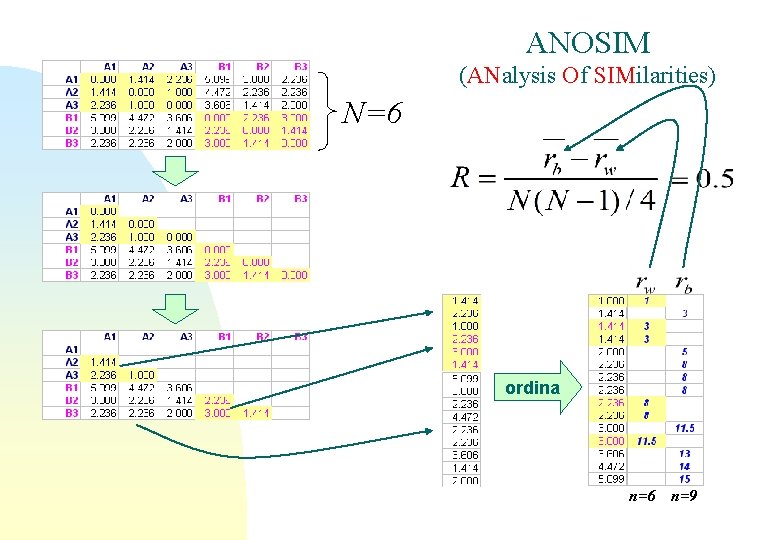 ANOSIM (ANalysis Of SIMilarities) N=6 ordina n=6 n=9 