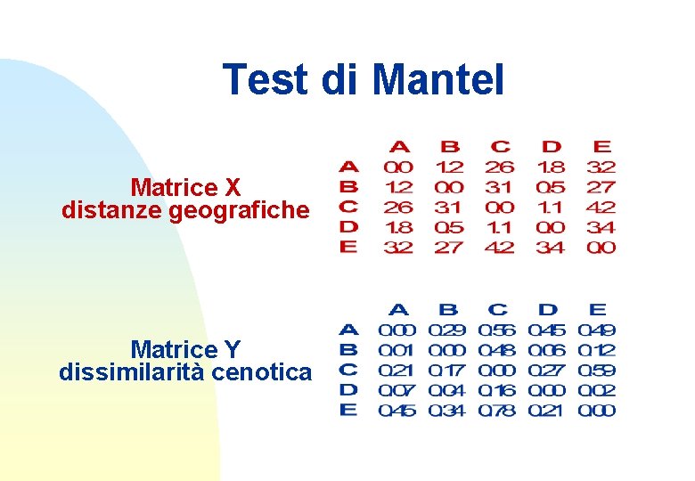 Test di Mantel Matrice X distanze geografiche Matrice Y dissimilarità cenotica 