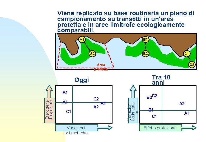 Viene replicato su base routinaria un piano di campionamento su transetti in un’area protetta