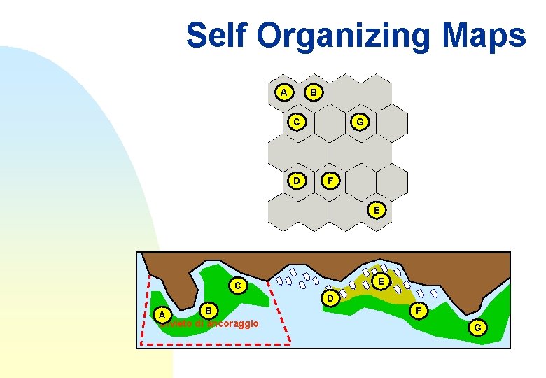Self Organizing Maps A B C D G F E E C D B