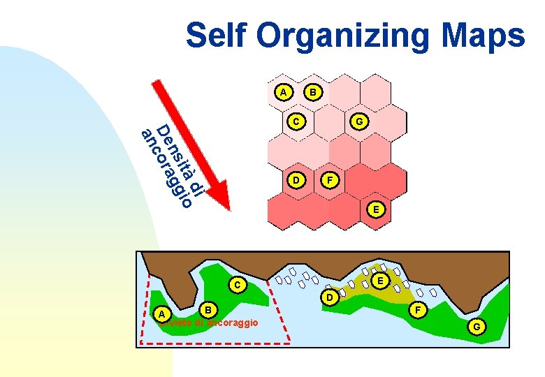 Self Organizing Maps A B C di ità io ns gg De cora an