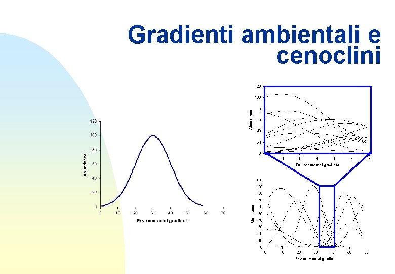 Gradienti ambientali e cenoclini 