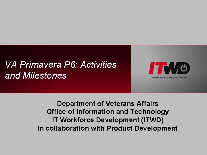 VA Primavera P 6: Activities and Milestones Department of Veterans Affairs Office of Information